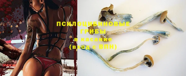 spice Вязники