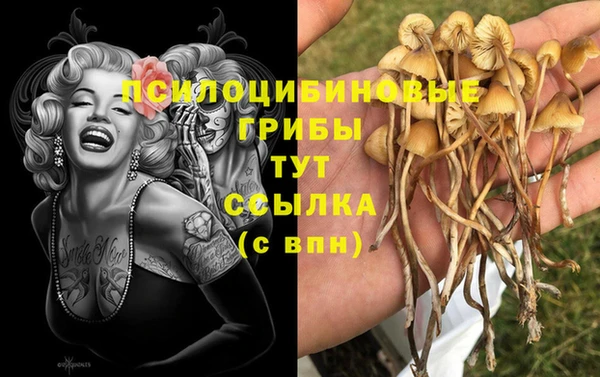 mix Туринск